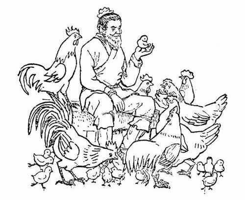 Poster for challenge: 5家共井问题和百鸡问题
